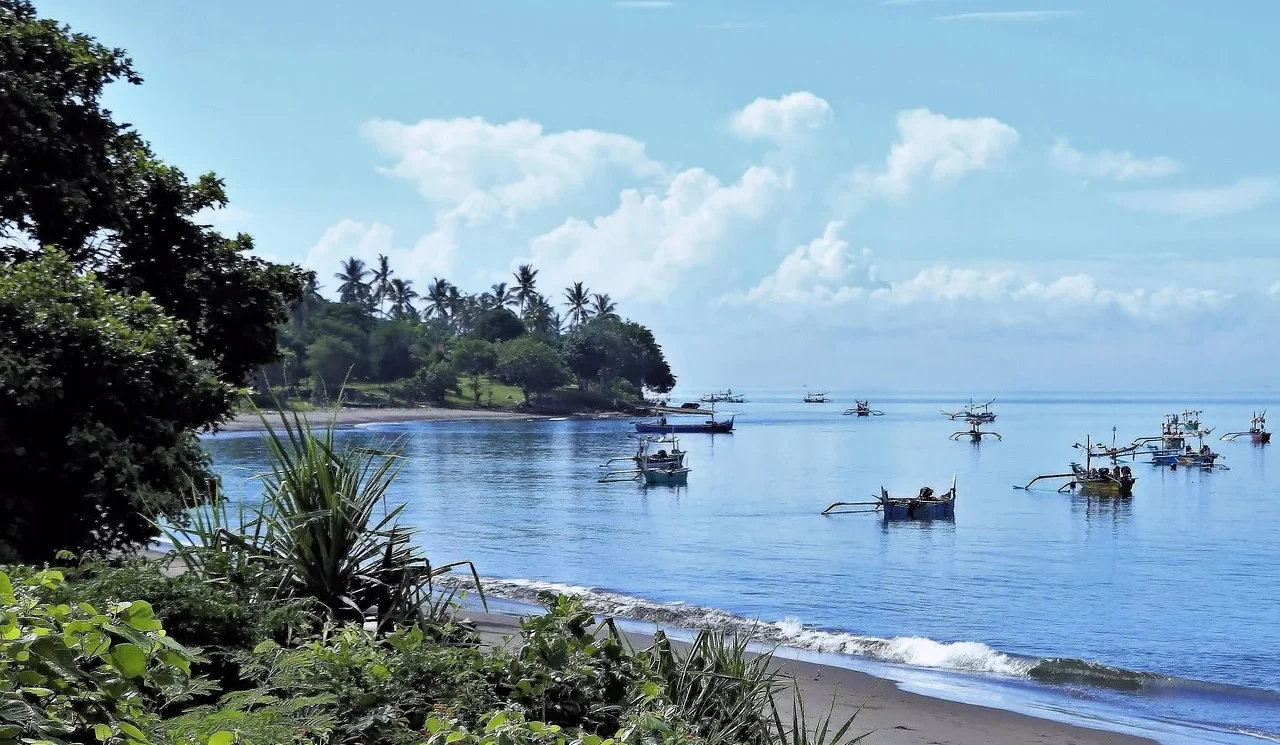 Optymalizacja floty transportowej przy użyciu https://infinitiis.pl/bsopt-tms/